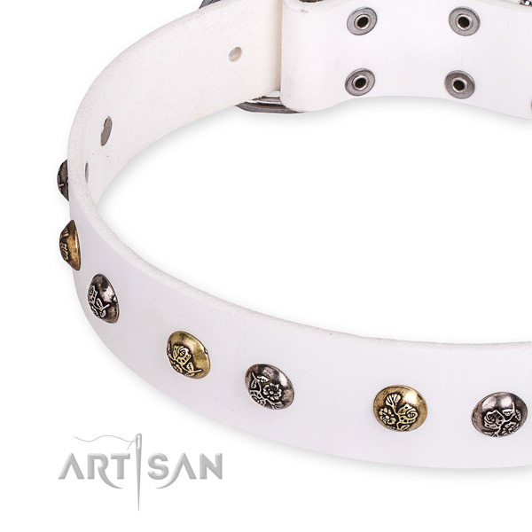 Genuine leather dog collar with stylish rust-proof embellishments