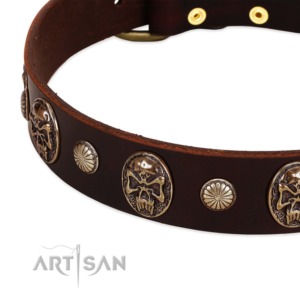 Natural genuine leather dog collar with adornments for everyday use