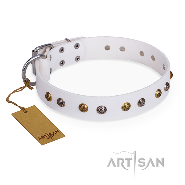 Fancy walking handcrafted dog collar with reliable hardware