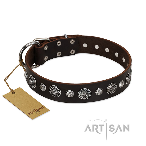 High quality full grain genuine leather dog collar with trendy adornments