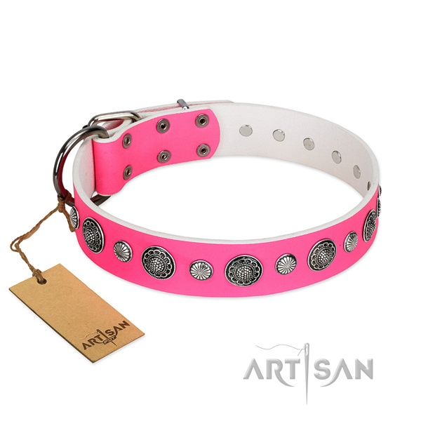 Quality genuine leather dog collar with corrosion resistant buckle