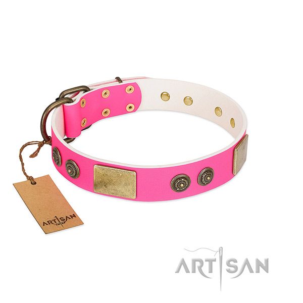 Unusual leather dog collar for easy wearing