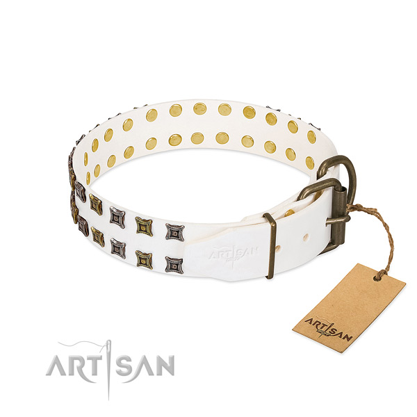 Natural leather collar with stunning decorations for your dog