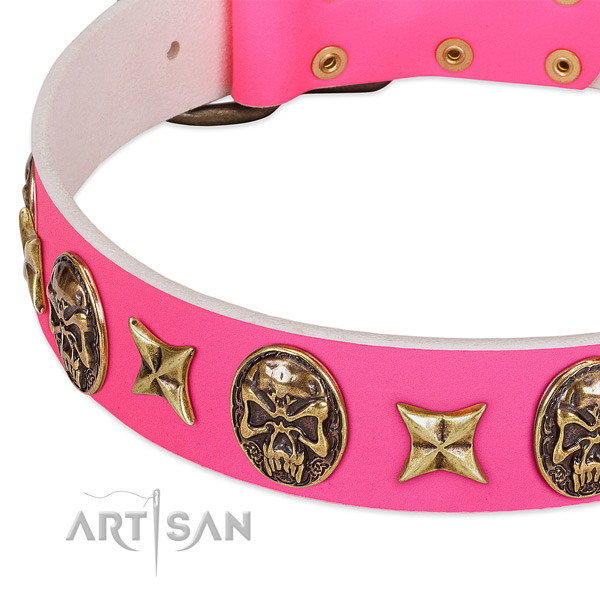 Natural leather dog collar with impressive decorations