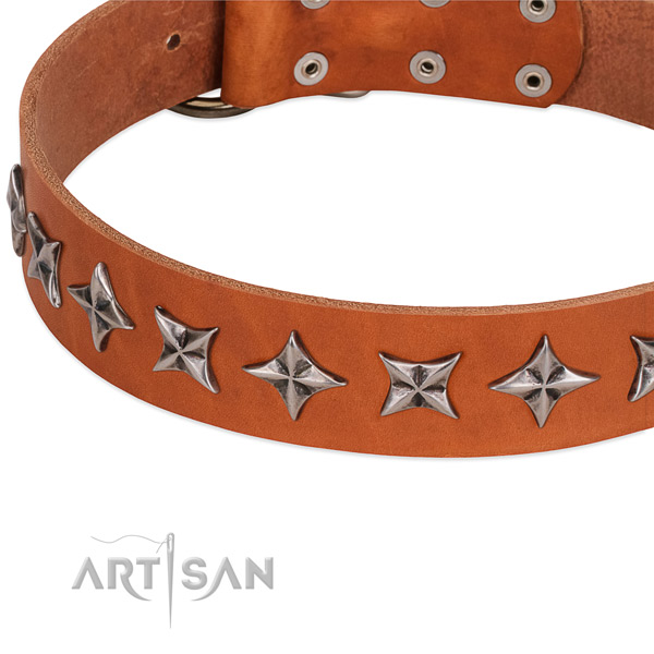 Everyday walking studded dog collar of top notch full grain genuine leather