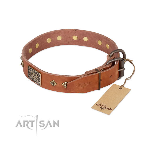 Full grain leather dog collar with reliable traditional buckle and embellishments