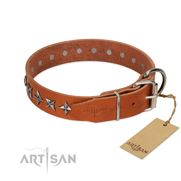 Everyday use adorned dog collar of quality full grain natural leather