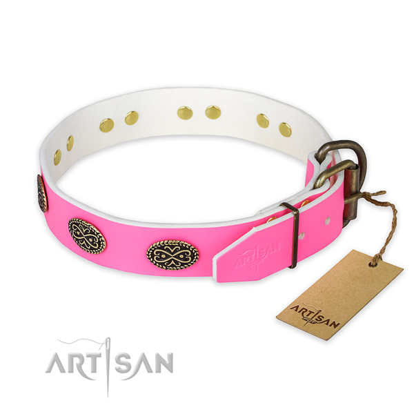 Rust resistant studs on handy use dog collar