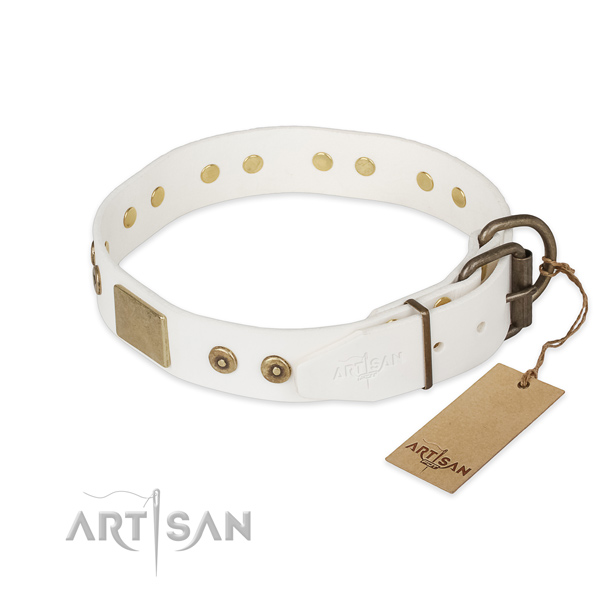 Full grain leather dog collar with corrosion proof fittings and decorations