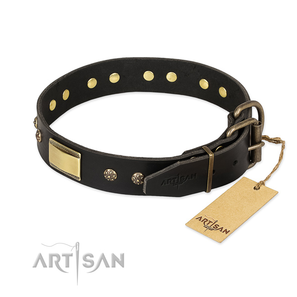 Natural leather dog collar with strong fittings and embellishments