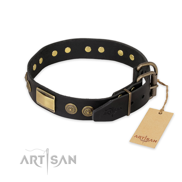 Corrosion resistant fittings on natural genuine leather collar for stylish walking your four-legged friend