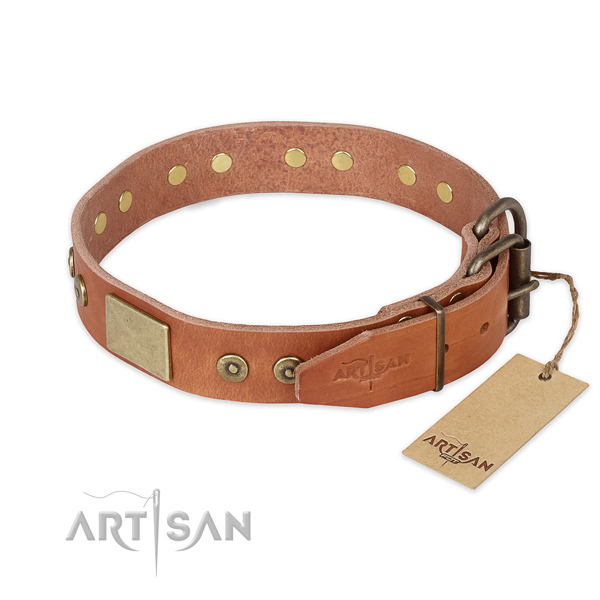 Rust-proof hardware on full grain leather collar for fancy walking your doggie