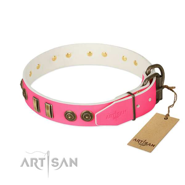 Corrosion proof D-ring on leather dog collar for your dog