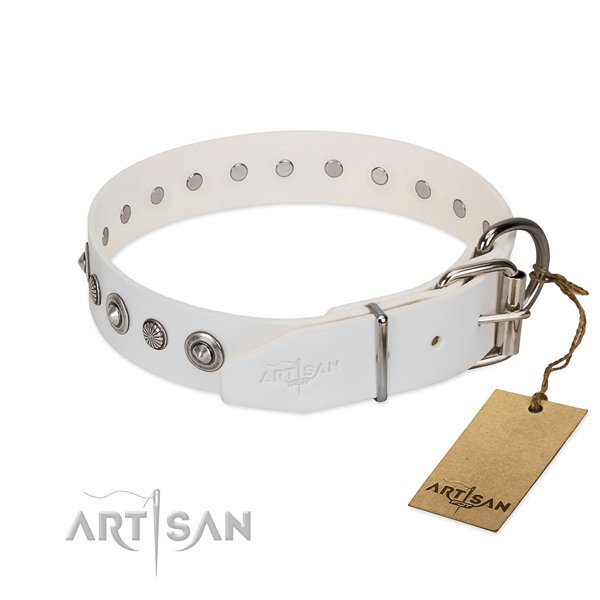 Top quality leather dog collar with amazing embellishments