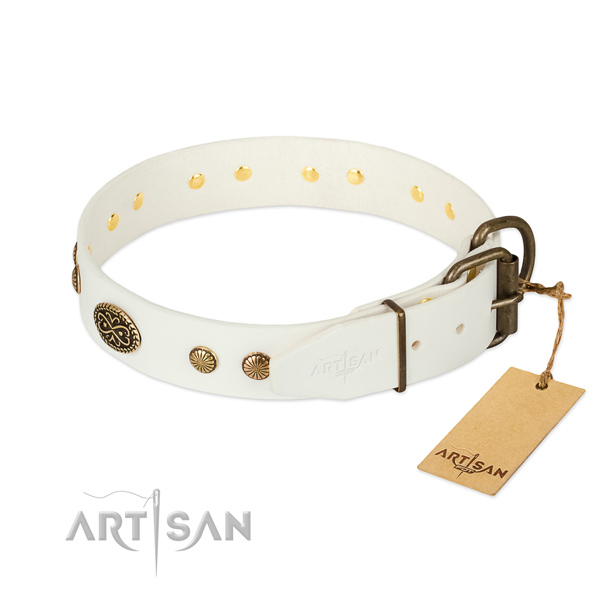 Reliable embellishments on natural leather dog collar for your four-legged friend