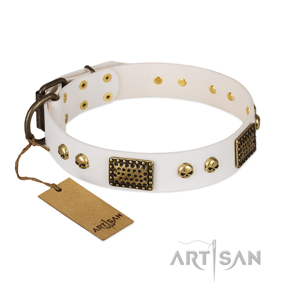 Reliable fittings on stylish walking dog collar