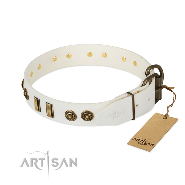 Corrosion resistant embellishments on full grain natural leather dog collar for your dog