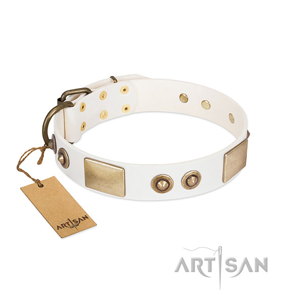 Corrosion resistant adornments on genuine leather dog collar for your canine