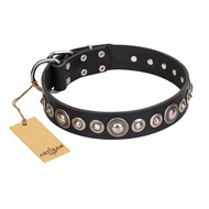 "Strict Elegance" FDT Artisan Black Leather Siberian Husky Collar with Decorations