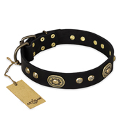 "High Fashion" FDT Artisan Studded with Plates Black Leather Siberian Husky Collar