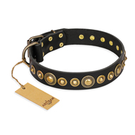 "Gold Mine" FDT Artisan Black Leather Siberian Husky Collar with Amazing Bronze-Plated Round Studs