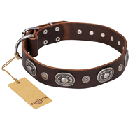"Extra Pizzazz" FDT Artisan Adorned Brown Leather Siberian Husky Collar