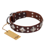"King of Grace" FDT Artisan Stylish Leather Siberian Husky Collar with Old Silver-Like Plated Decorations