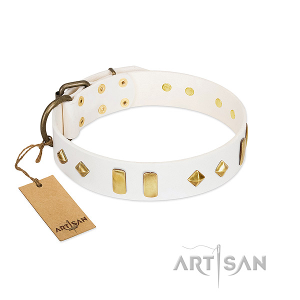 Walking soft to touch full grain natural leather dog collar with embellishments