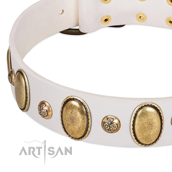 Leather dog collar with fashionable adornments