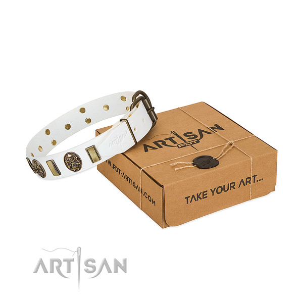 Corrosion proof hardware on full grain leather dog collar for stylish walking