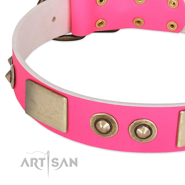 Corrosion proof embellishments on genuine leather dog collar for your four-legged friend