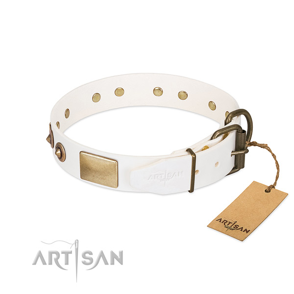 Corrosion resistant embellishments on full grain natural leather dog collar for your canine