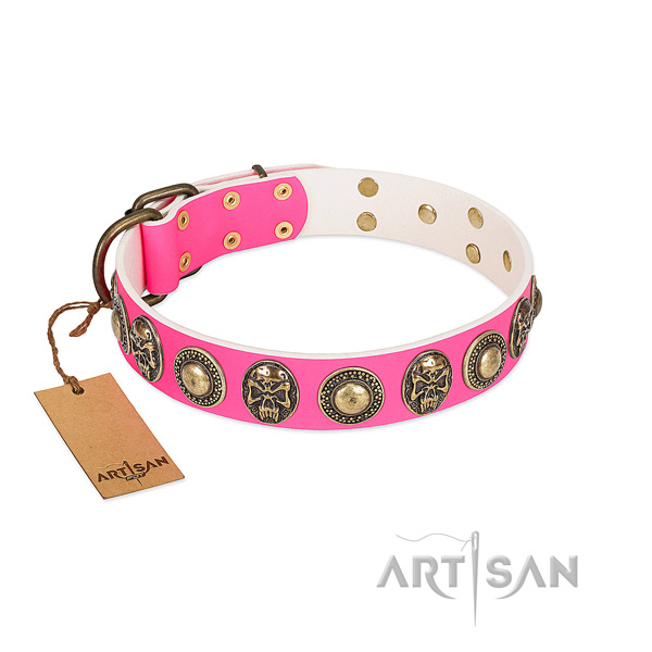 Easy wearing full grain leather dog collar for walking your pet