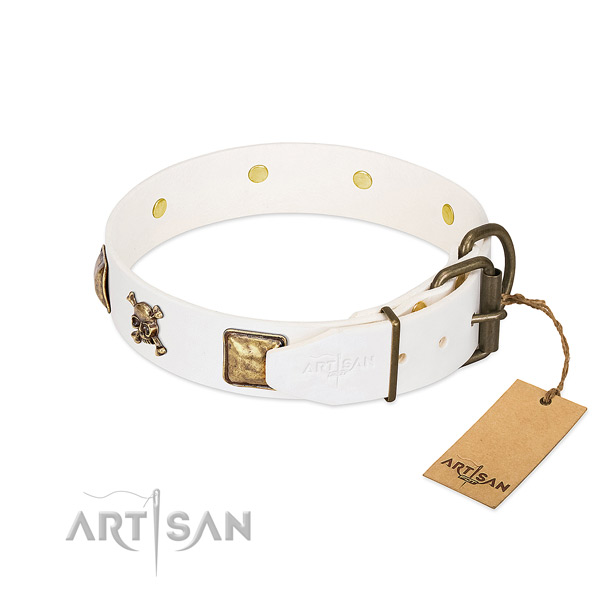 Significant full grain leather dog collar with rust resistant adornments