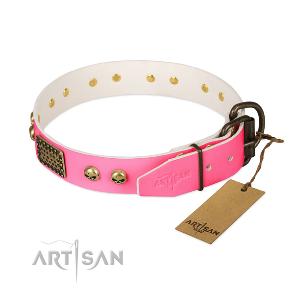 Corrosion resistant embellishments on everyday use dog collar