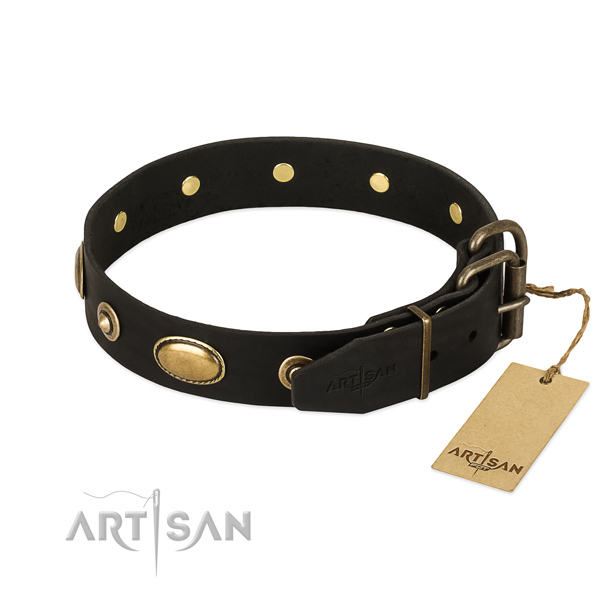 Rust resistant hardware on natural leather dog collar for your dog