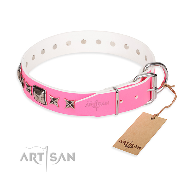 Reliable adorned dog collar of leather