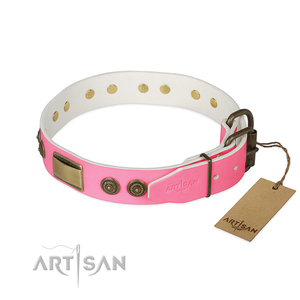 Rust resistant adornments on walking dog collar