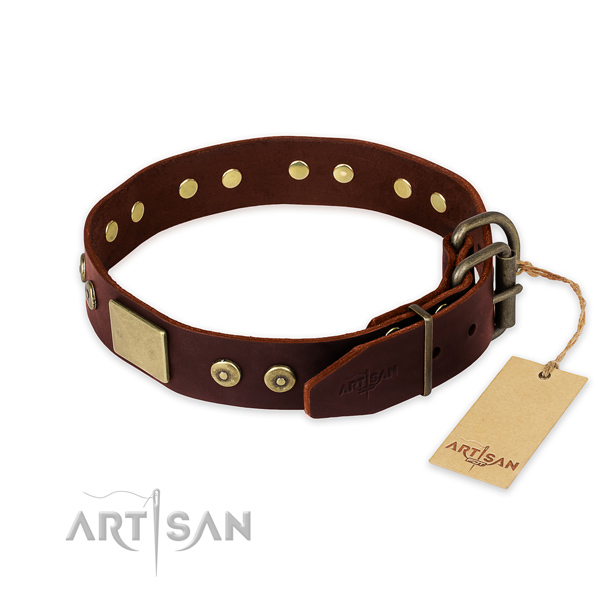 Rust resistant adornments on walking dog collar