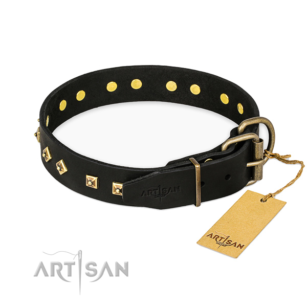 Reliable traditional buckle on leather collar for stylish walking your pet