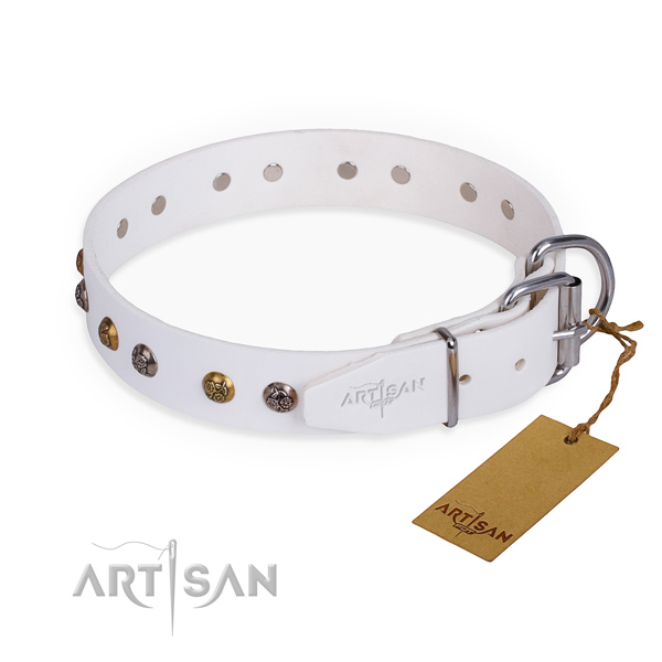 Full grain leather dog collar with stunning corrosion proof studs