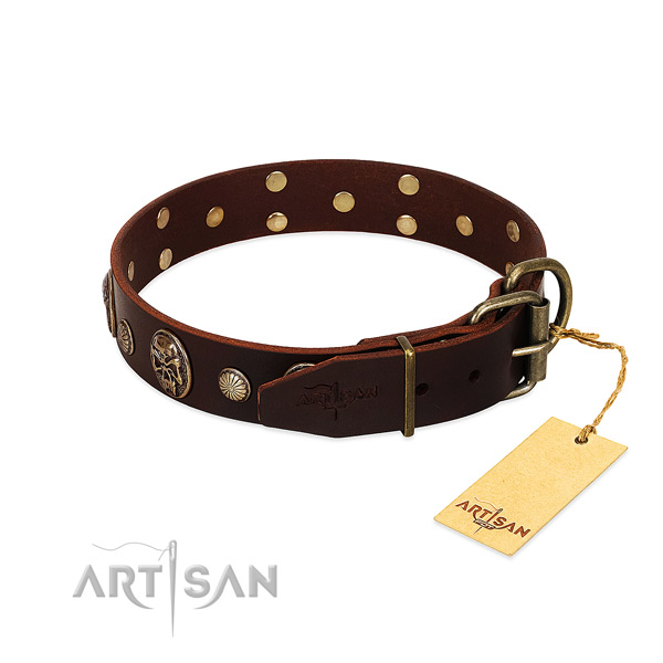Rust resistant adornments on walking dog collar
