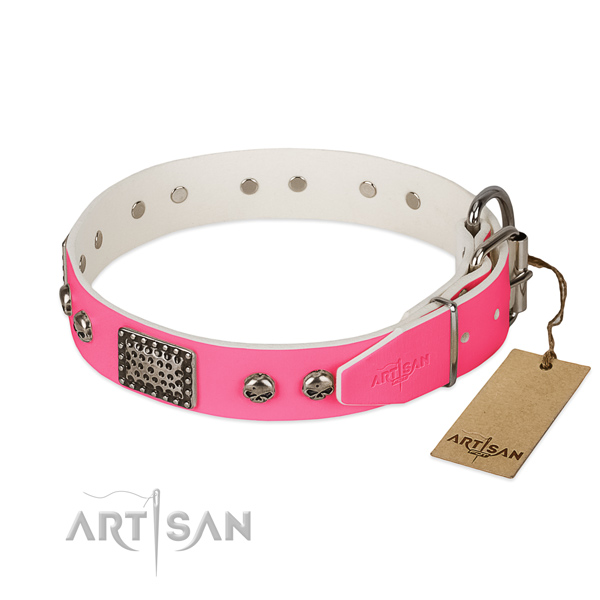Rust resistant hardware on daily walking dog collar
