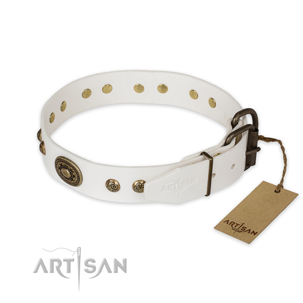 Corrosion proof traditional buckle on full grain genuine leather collar for daily walking your pet