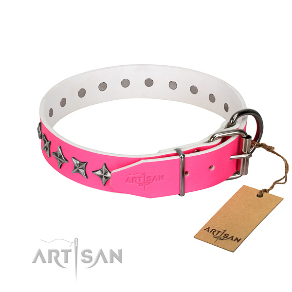 Reliable full grain leather dog collar with exceptional decorations