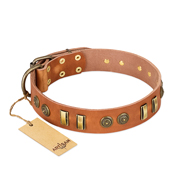 "Natural Beauty" FDT Artisan Tan Leather Siberian Husky Collar with Old Bronze-like Circles and Plates