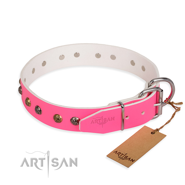 Leather dog collar with stylish rust resistant embellishments