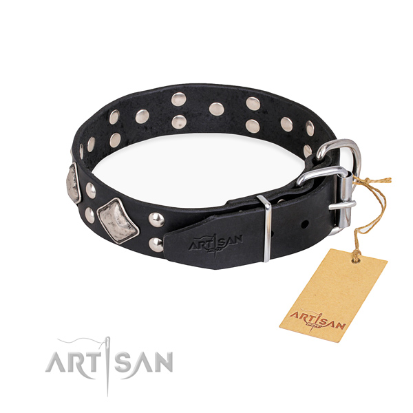 Leather dog collar with stylish rust resistant embellishments