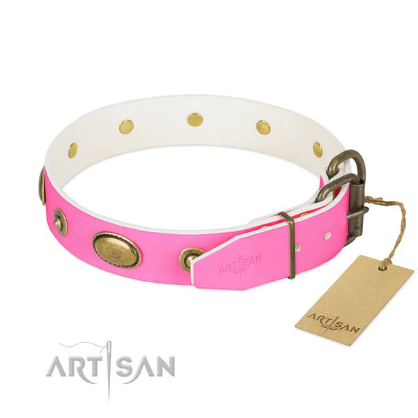 Corrosion proof studs on leather dog collar for your four-legged friend