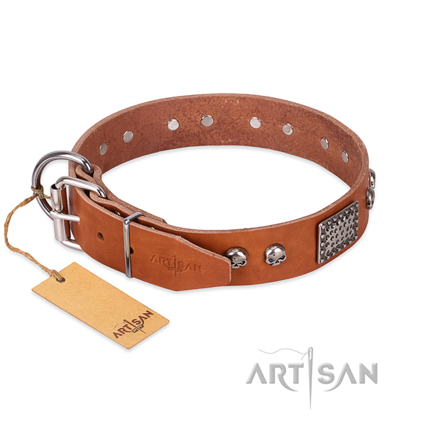 Rust resistant buckle on everyday walking dog collar